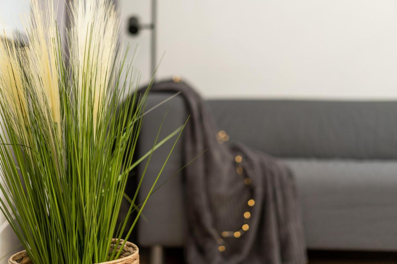 Air 203 Apartment Vilnius